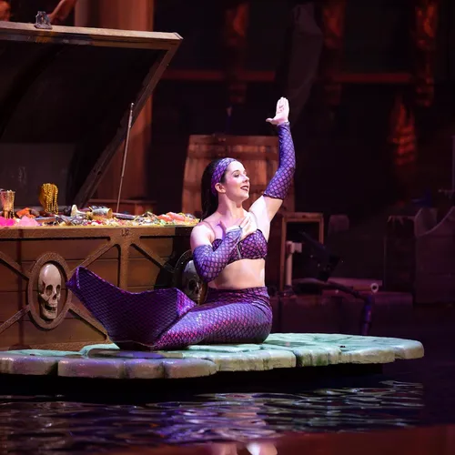 Pirate's Voyage