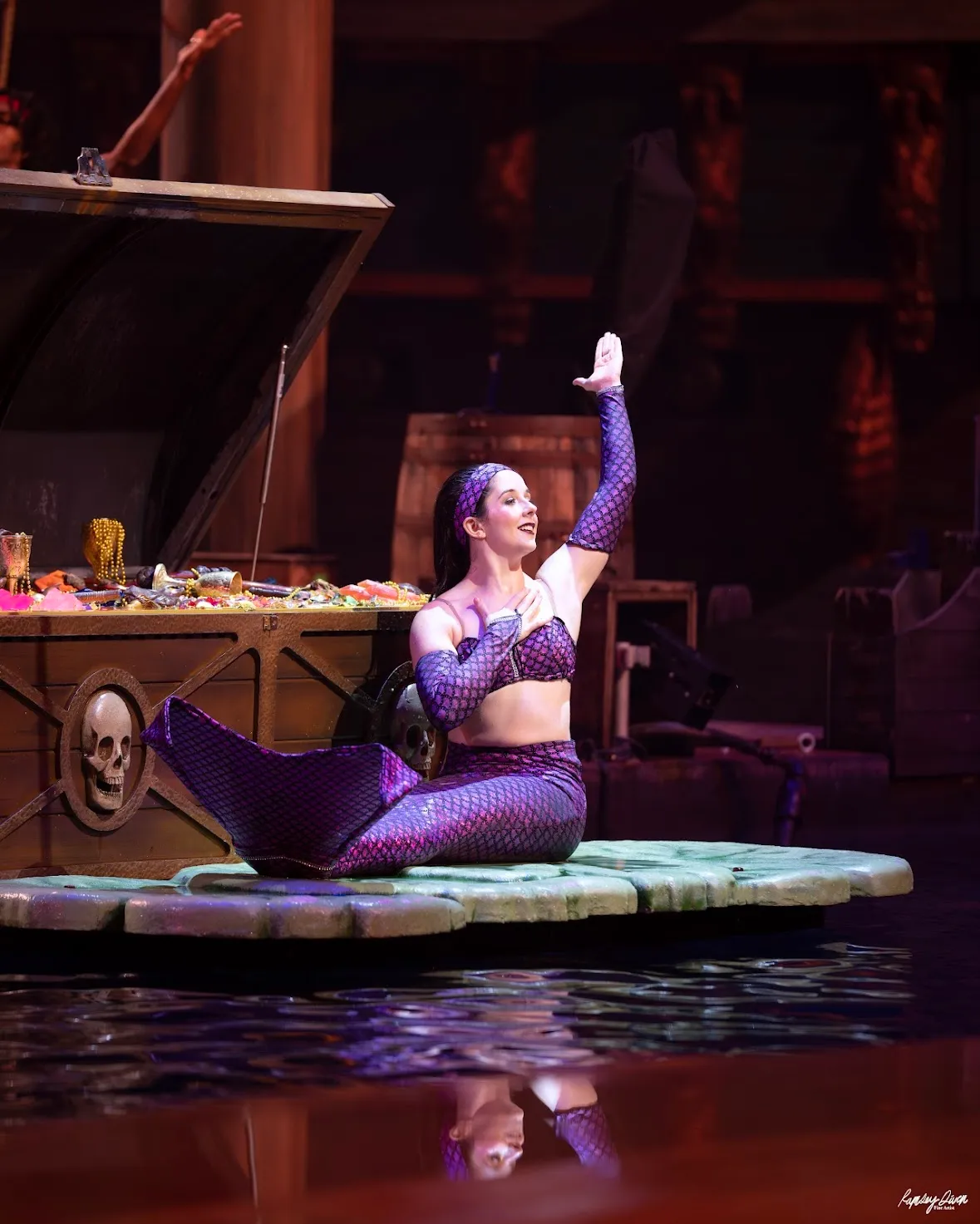 Pirate's Voyage
